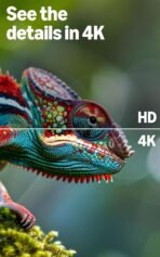 Amazon Fire TV 43" 4-Series (newest model), 4K Ultra HD smart TV with Alexa Remote, HDR10+, fast processor, Dolby Audio, Ambient Experience, free and live TV - Image 6